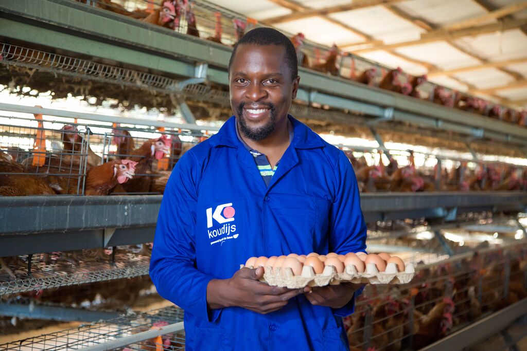Large-Poultry_Layer_Koudijs_Uganda (2).jpg