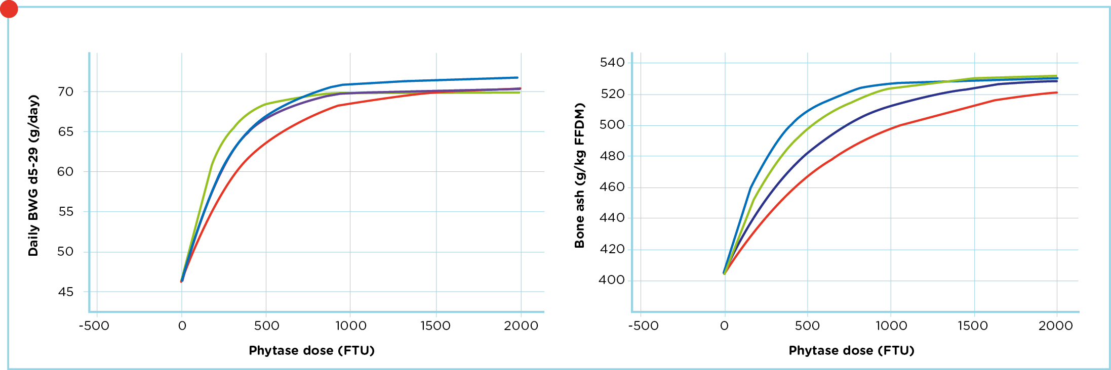 June 2020_How to use phytase_PRX_Alg_Nutritie_Graph_2.jpg